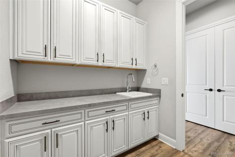 851 Alumroot Street Castle Rock CO 80104