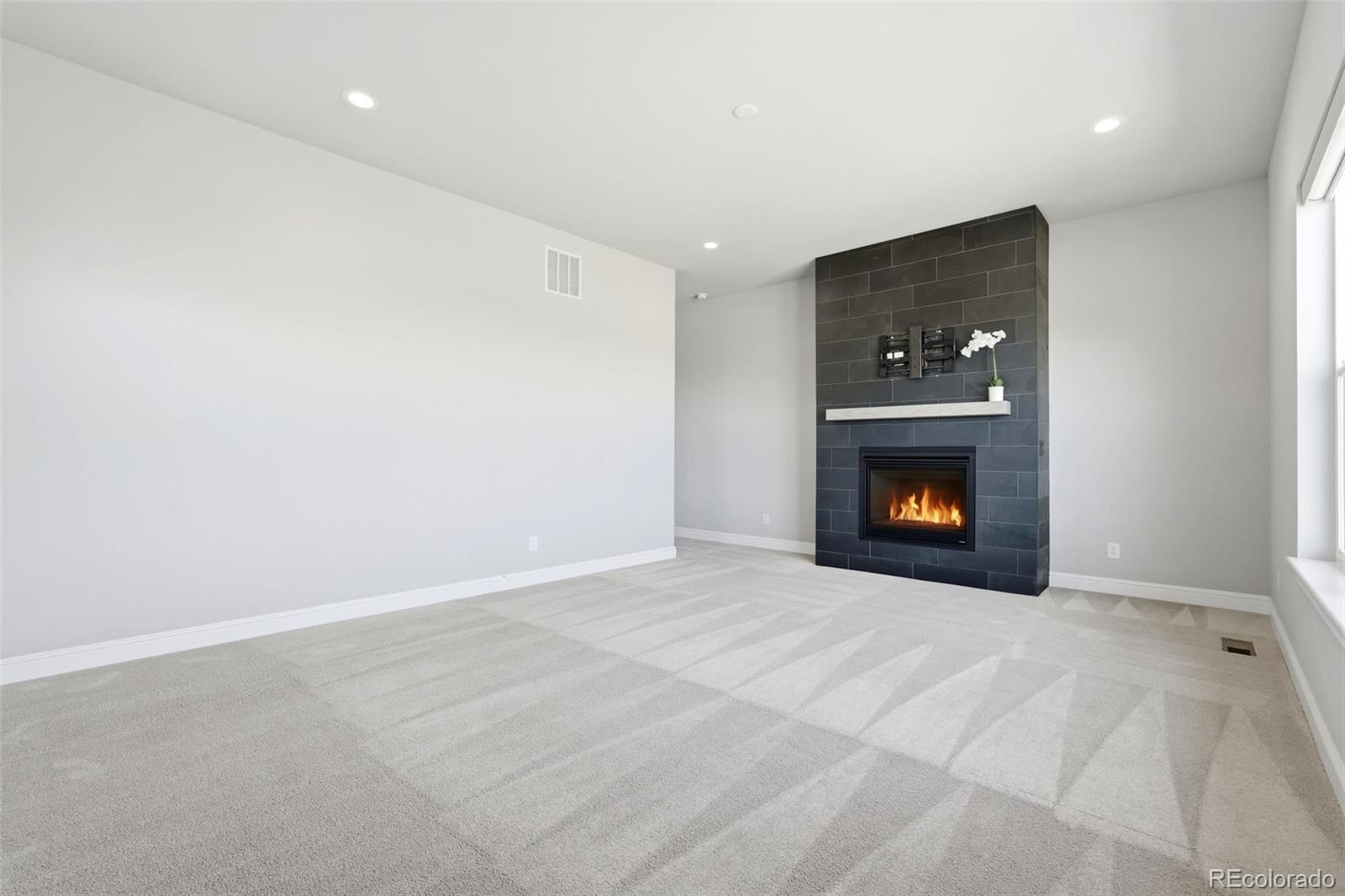 851 Alumroot Street Castle Rock CO 80104