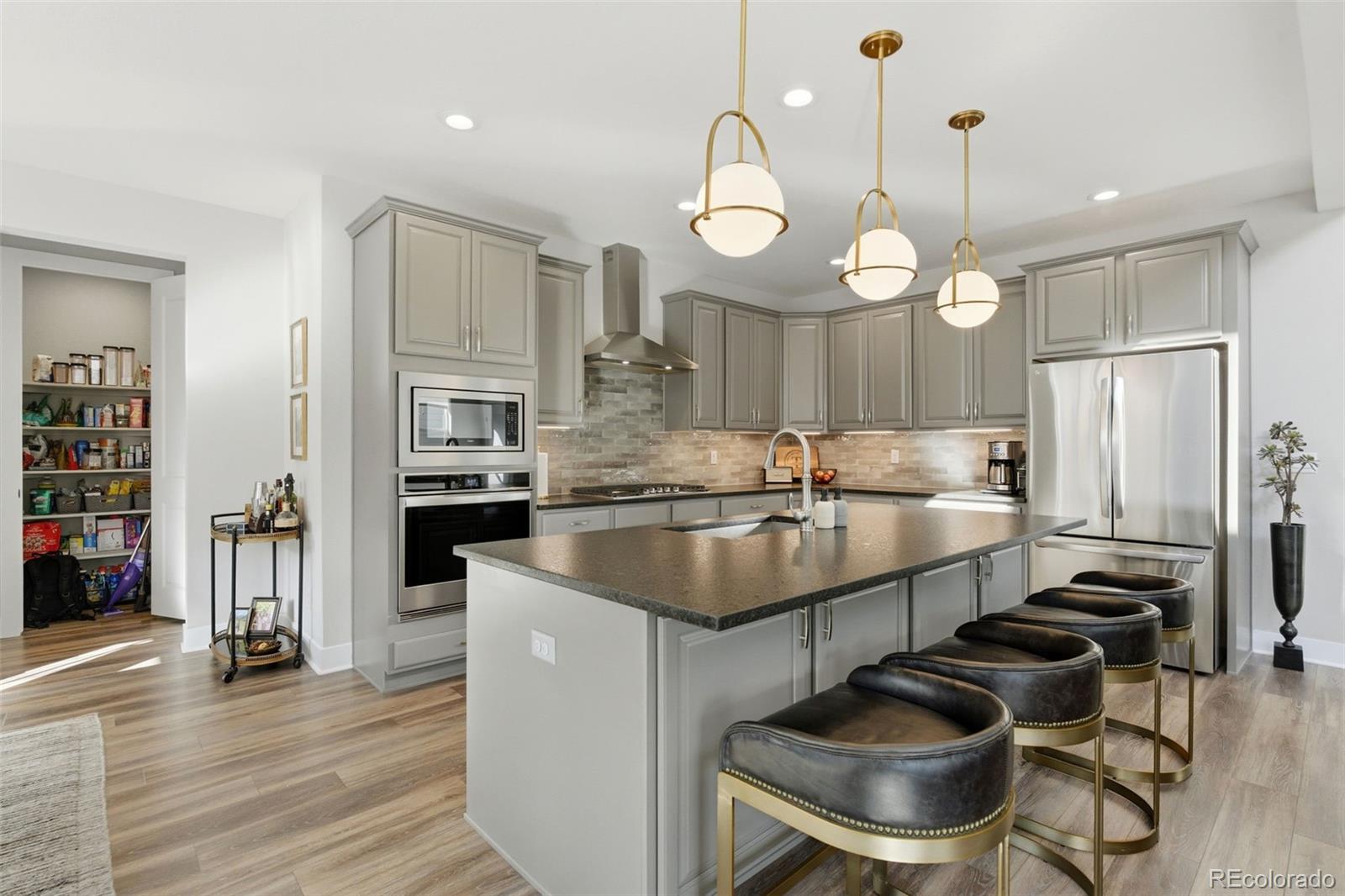146 Kitselman Drive Castle Rock CO 80104