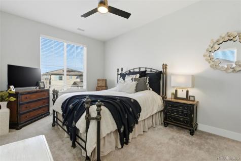 146 Kitselman Drive Castle Rock CO 80104