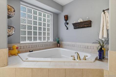 15655 Falcon Ridge Court Colorado Springs CO 80921