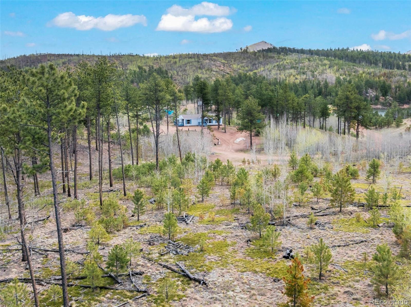 100 Wolverine Drive Florissant CO 80816
