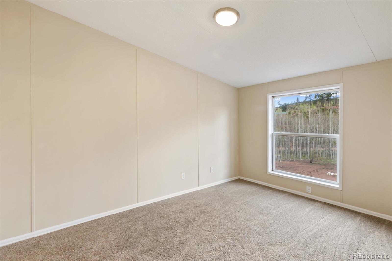 100 Wolverine Drive Florissant CO 80816