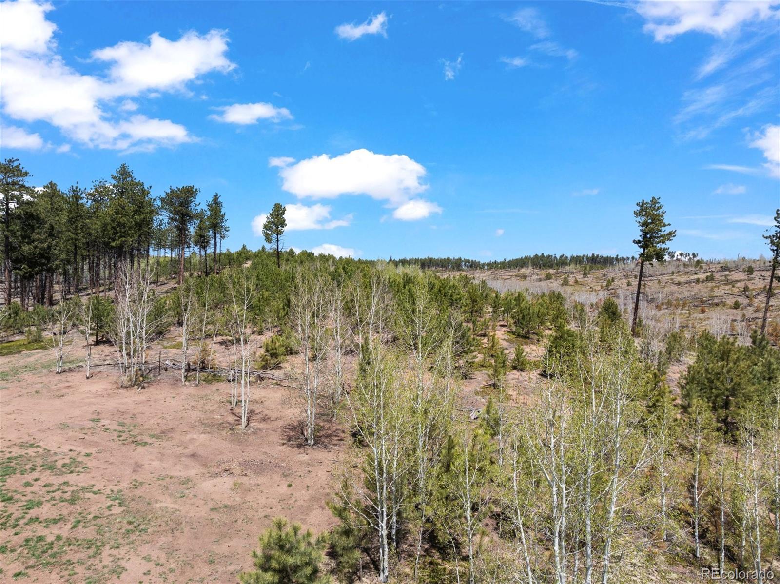 100 Wolverine Drive Florissant CO 80816