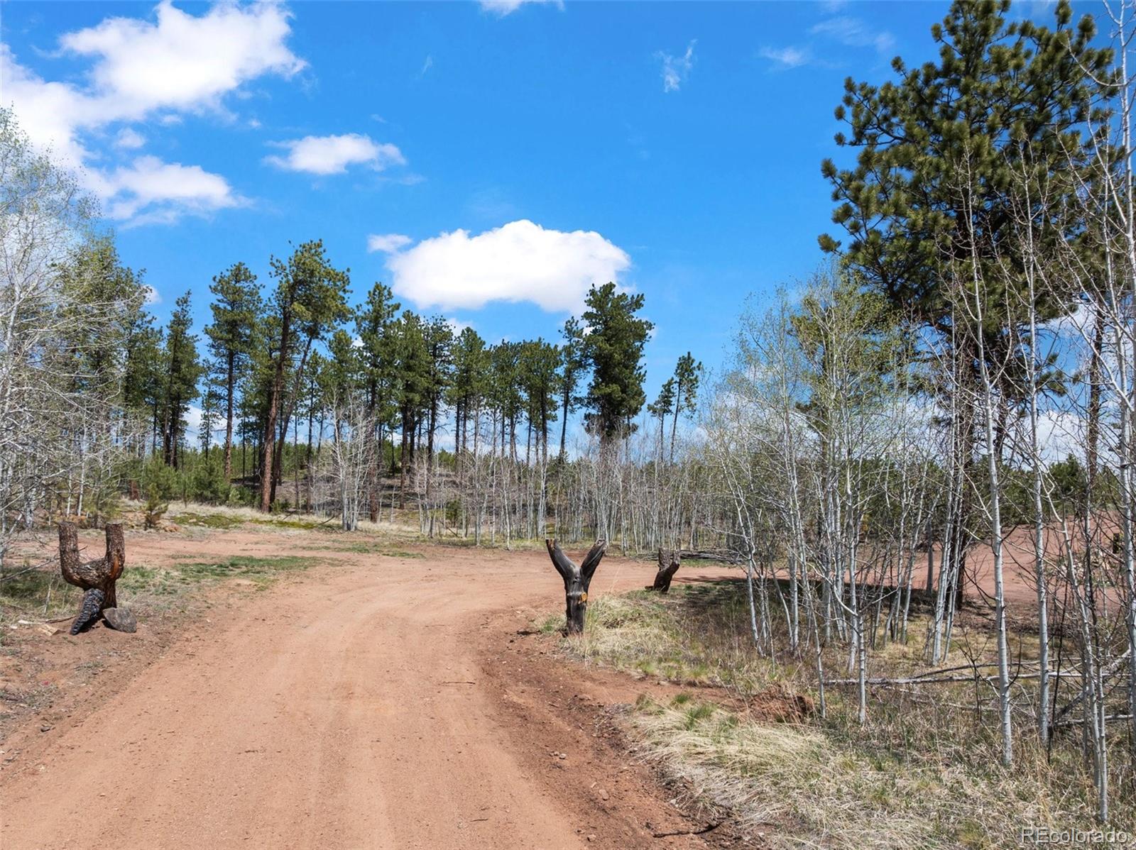 100 Wolverine Drive Florissant CO 80816