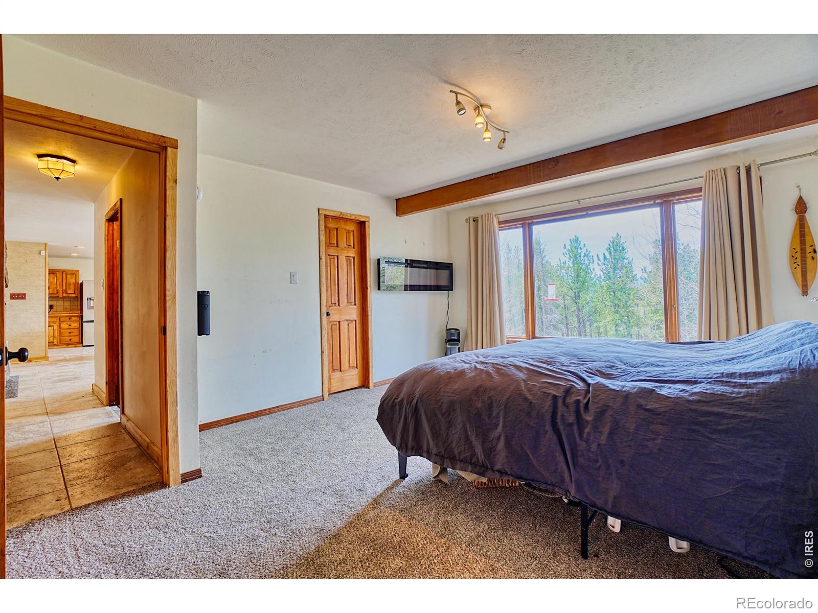 1447 Coyote Circle Black Hawk CO 80422