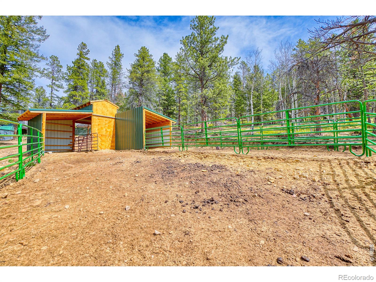 1447 Coyote Circle Black Hawk CO 80422