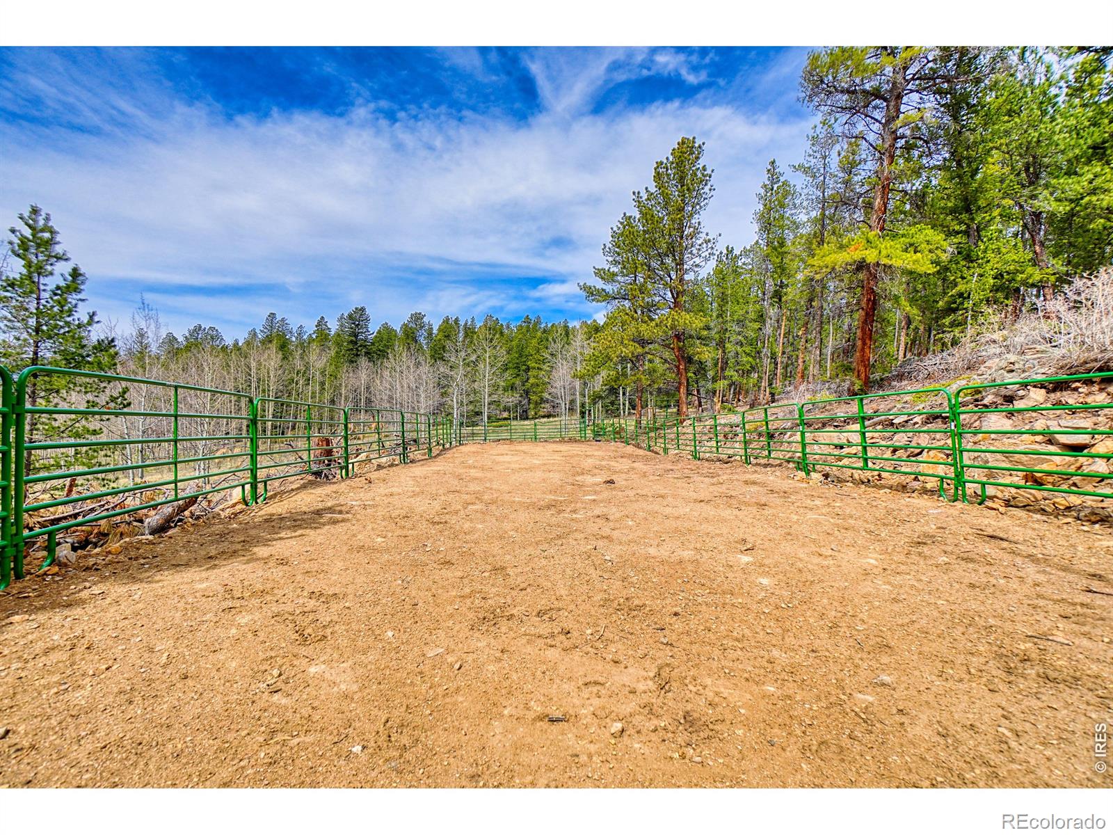 1447 Coyote Circle Black Hawk CO 80422