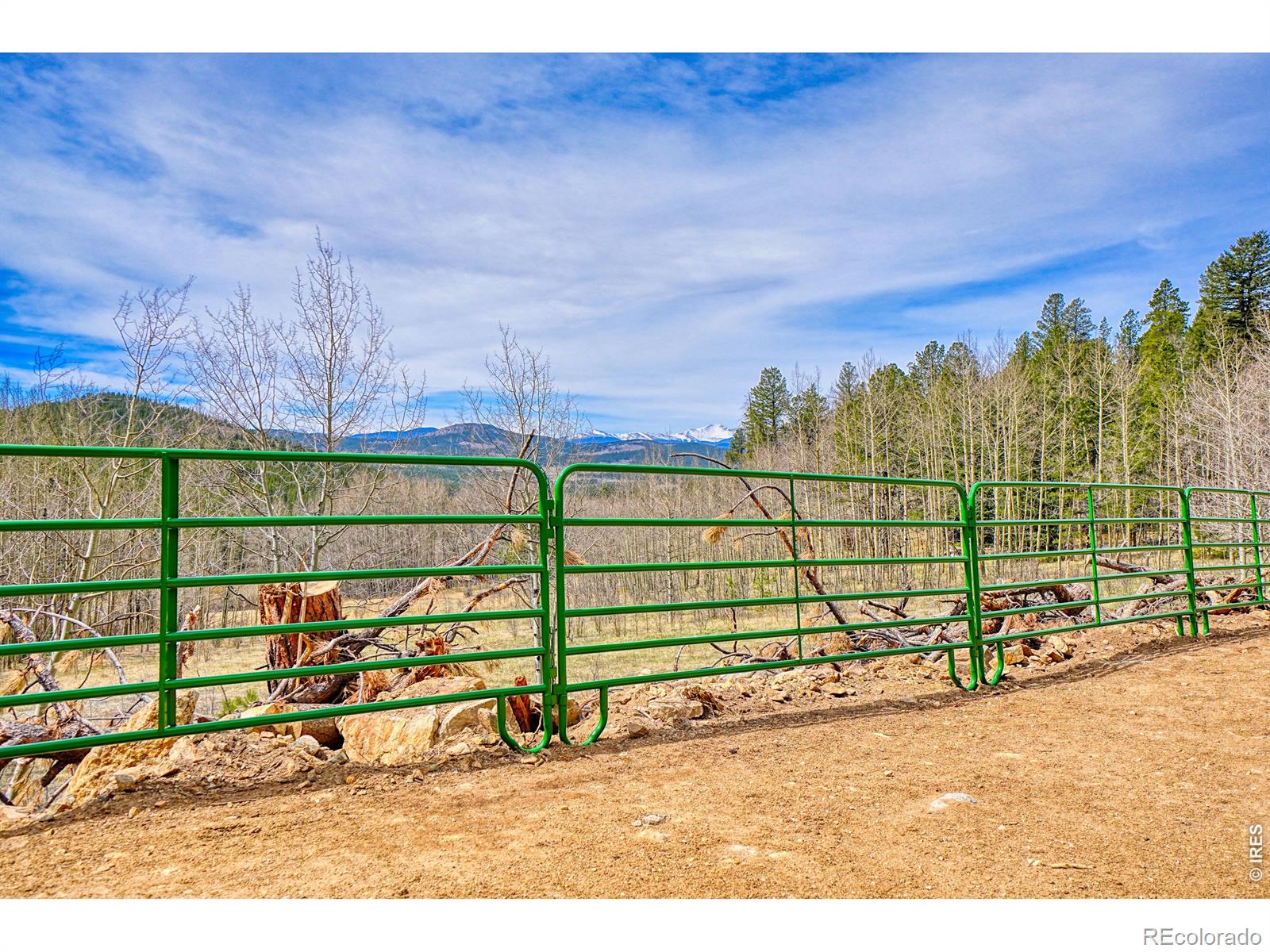1447 Coyote Circle Black Hawk CO 80422