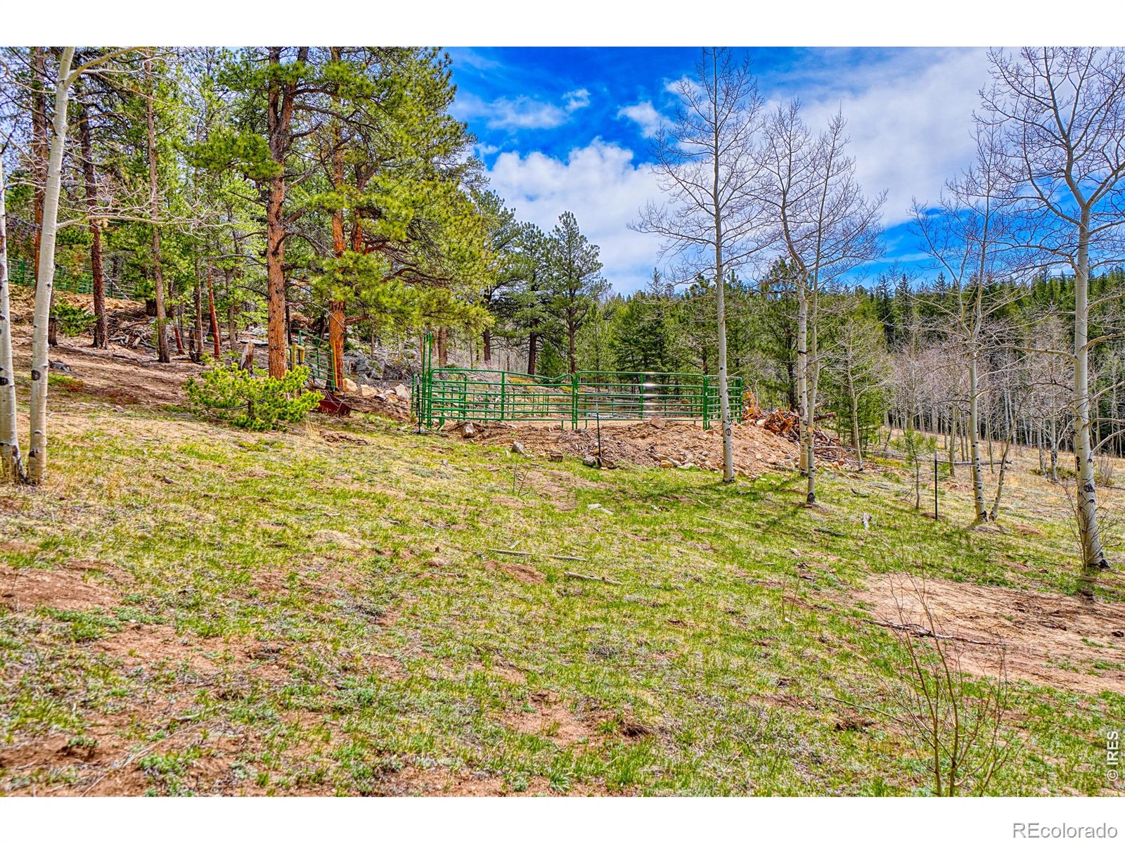 1447 Coyote Circle Black Hawk CO 80422