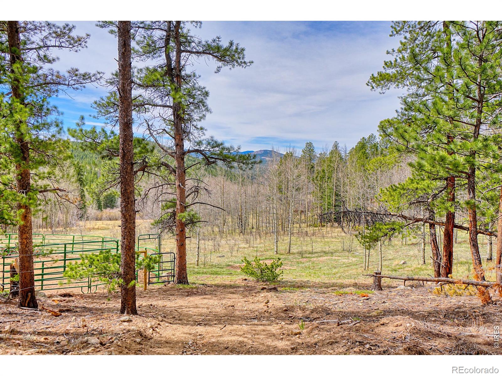 1447 Coyote Circle Black Hawk CO 80422