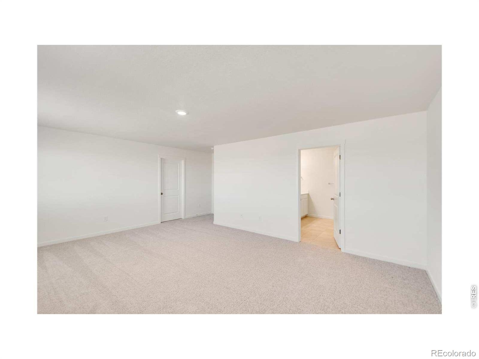 812 Trumpet Lane Windsor CO 80550