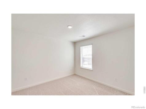 812 Trumpet Lane Windsor CO 80550