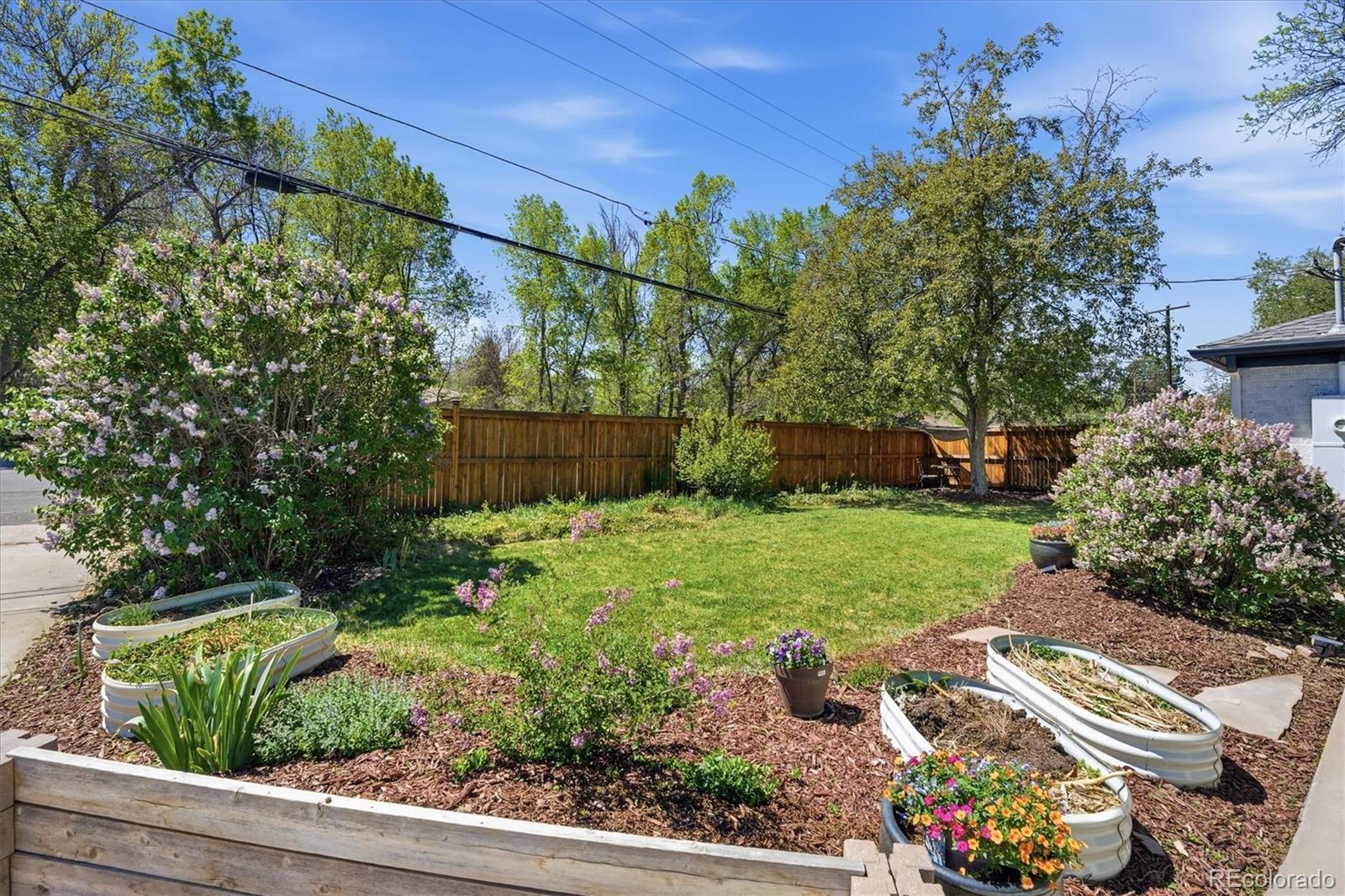3506 Newland Street Wheat Ridge CO 80033
