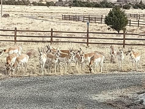 12300 County Road 195 Salida CO 81201