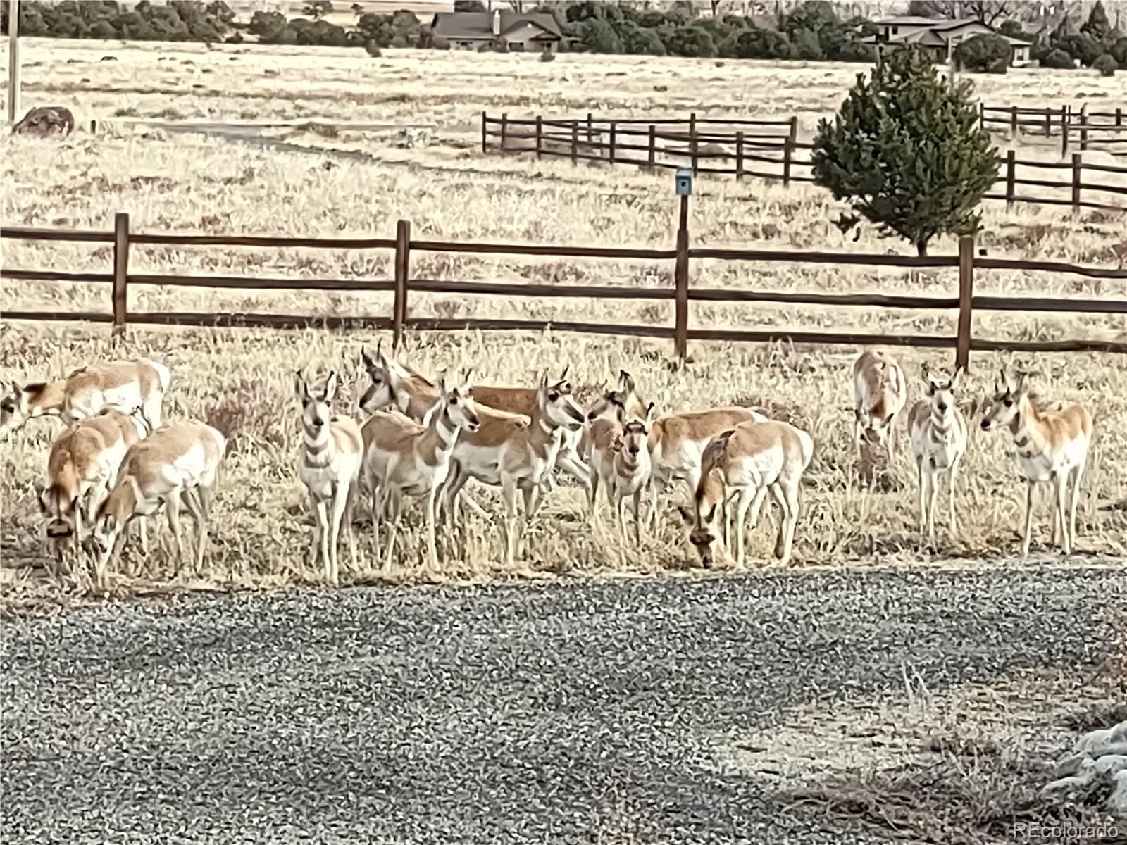 12300 County Road 195 Salida CO 81201