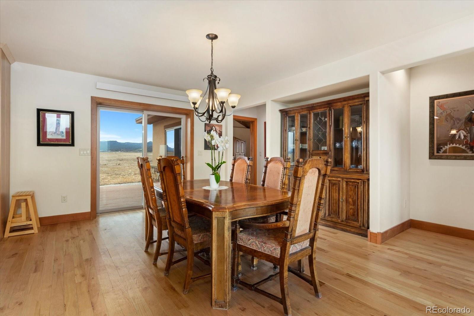 24240 River Meadow Drive Buena Vista CO 81211