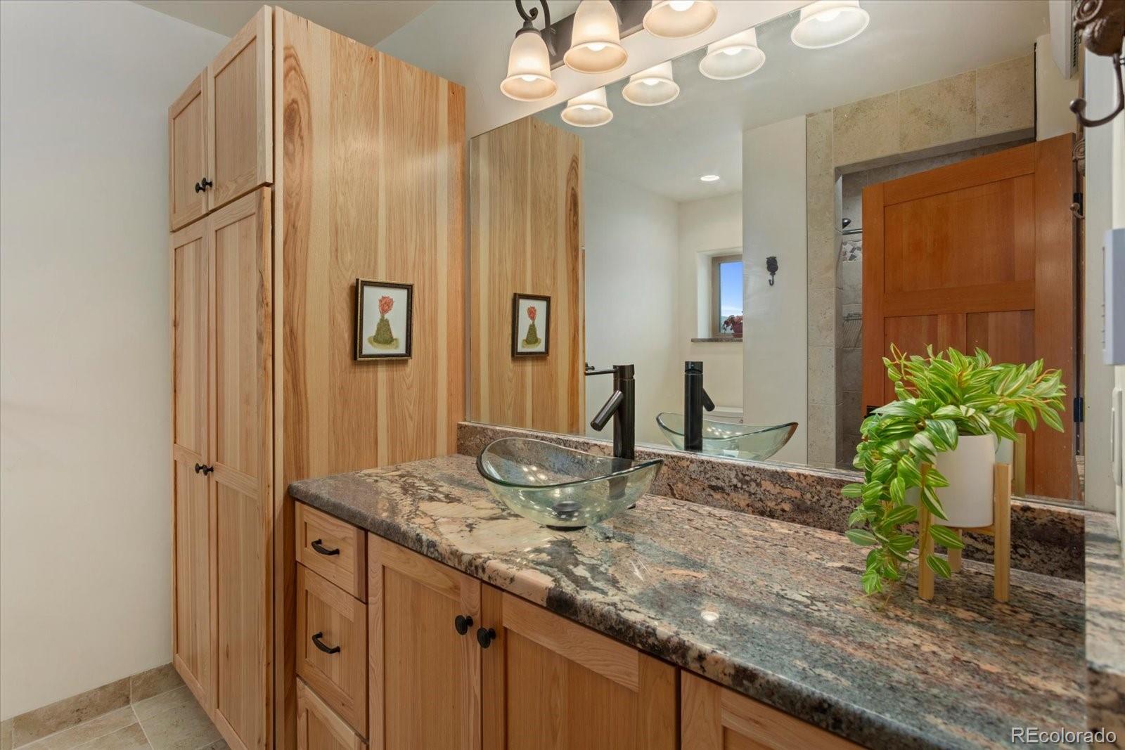 24240 River Meadow Drive Buena Vista CO 81211