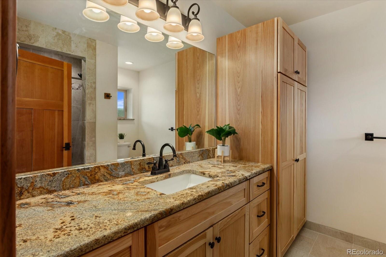 24240 River Meadow Drive Buena Vista CO 81211