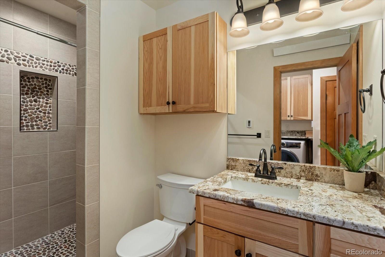 24240 River Meadow Drive Buena Vista CO 81211