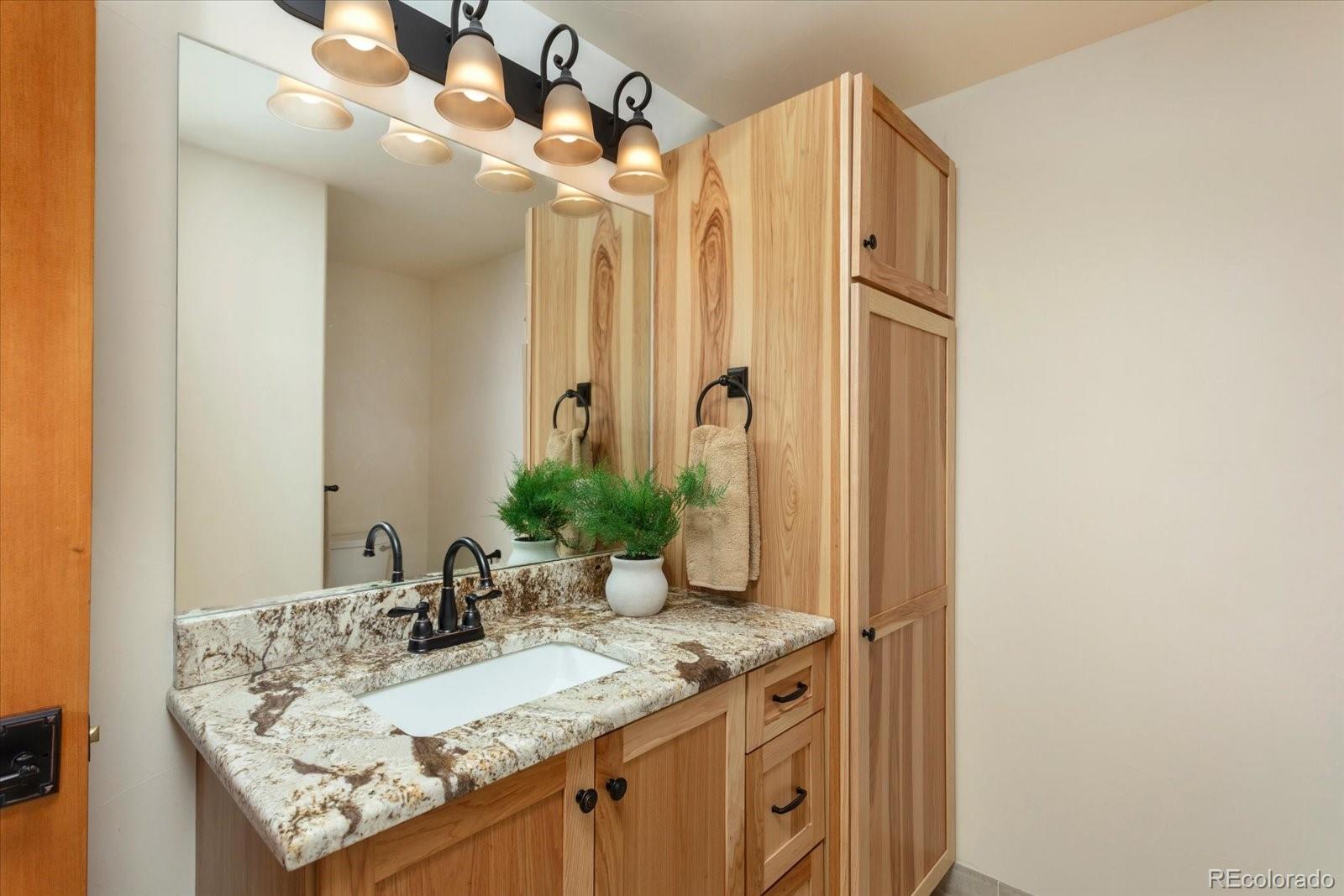 24240 River Meadow Drive Buena Vista CO 81211