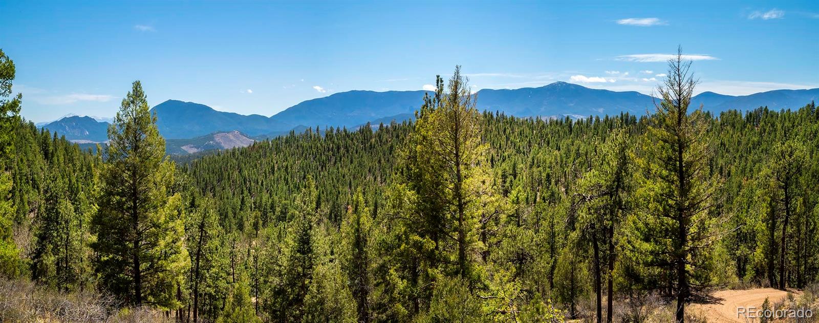 29700 S Sunset Trail Conifer CO 80433