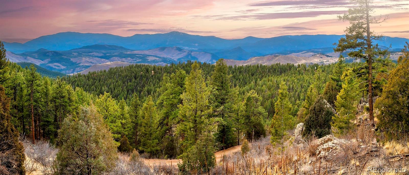 29700 S Sunset Trail Conifer CO 80433