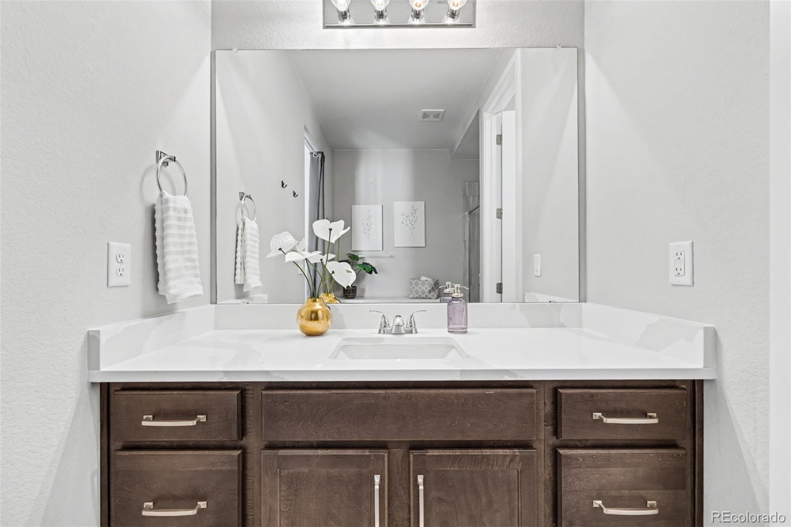 2618 Mayotte Way Castle Rock CO 80109