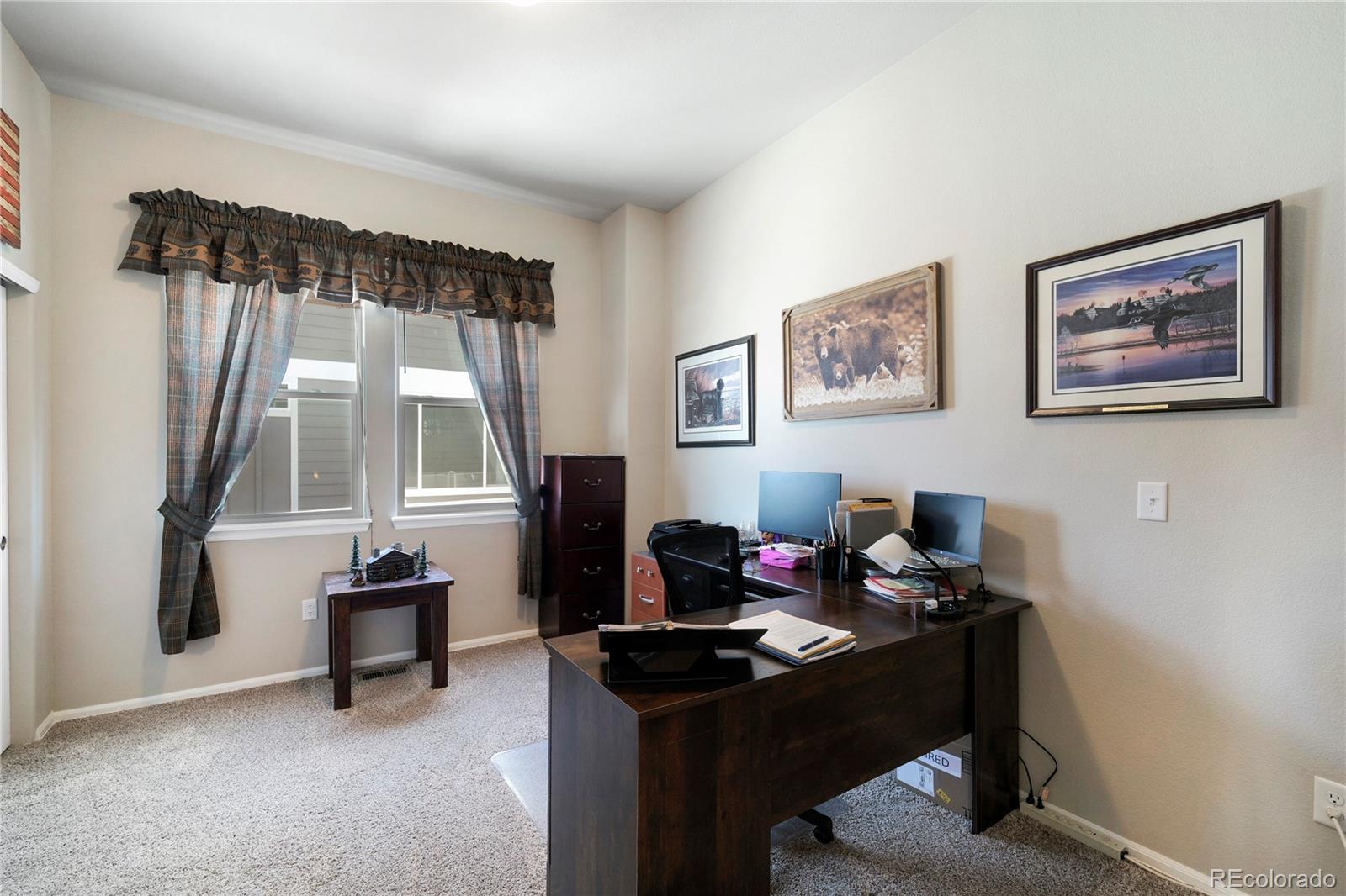 1210 Muskox Street Severance CO 80550