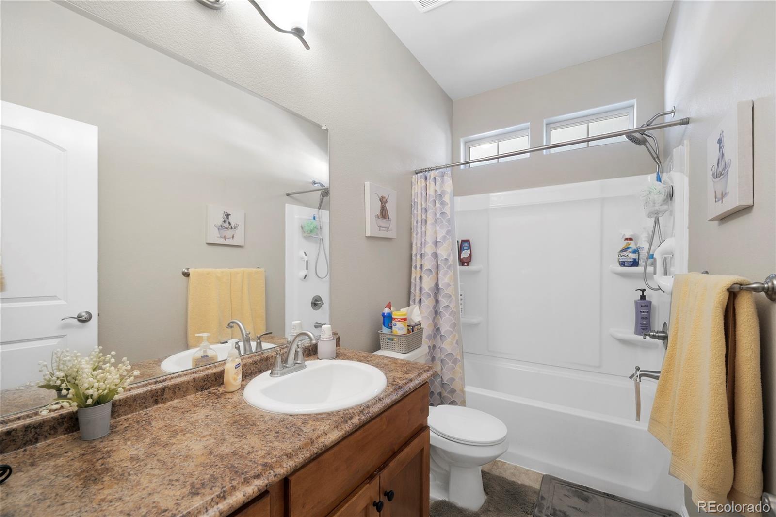 1210 Muskox Street Severance CO 80550