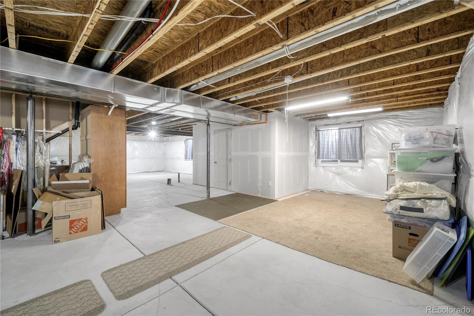 1210 Muskox Street Severance CO 80550