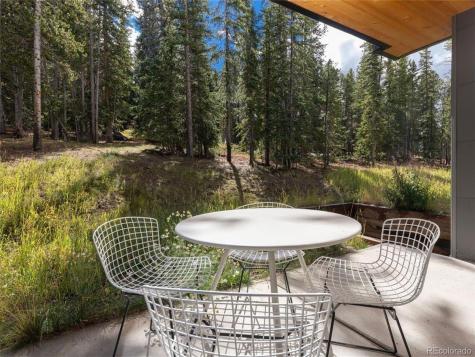 290 N Fuller Placer Road Breckenridge CO 80424