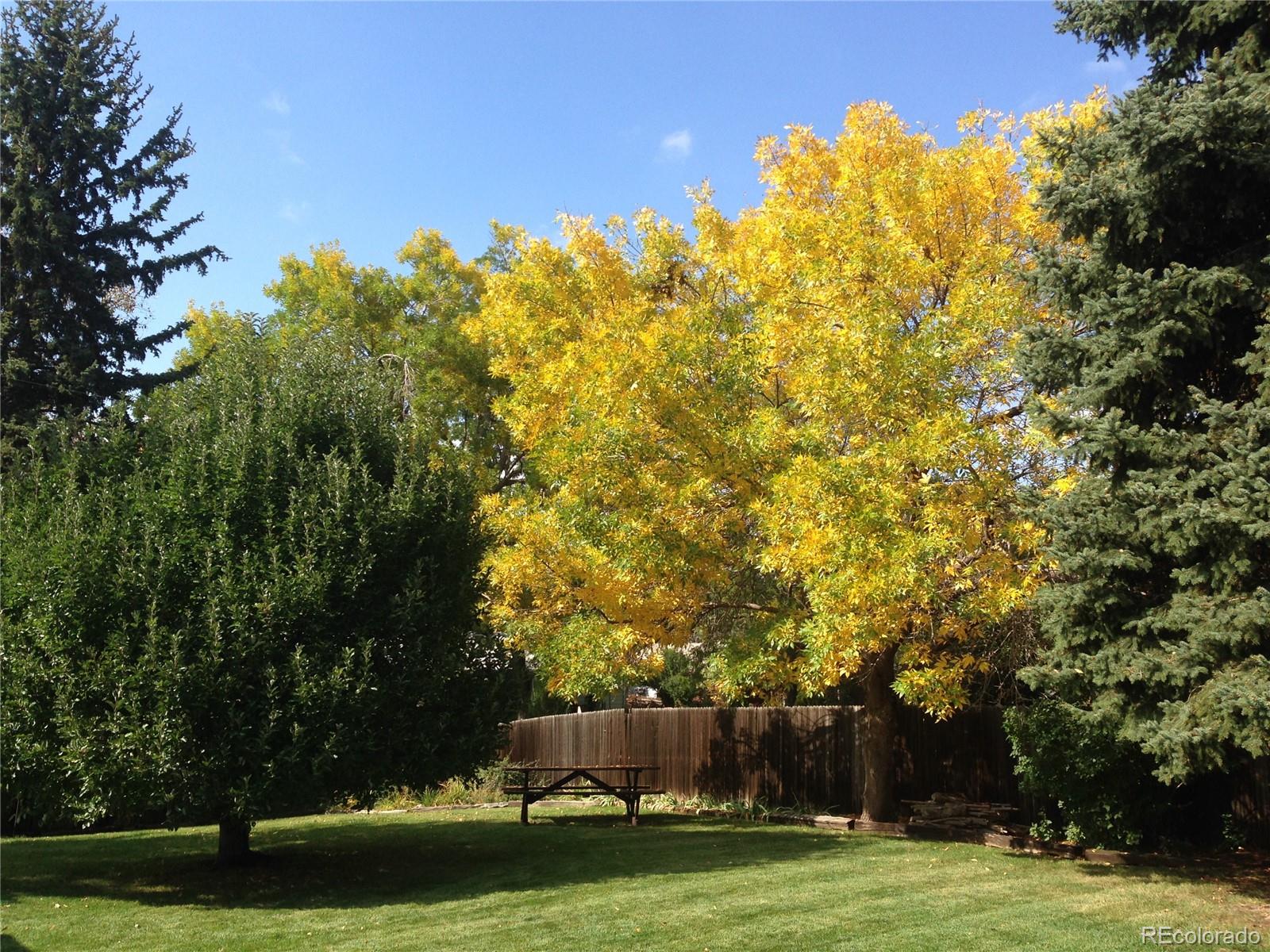 7539 Pierce Street Arvada CO 80003
