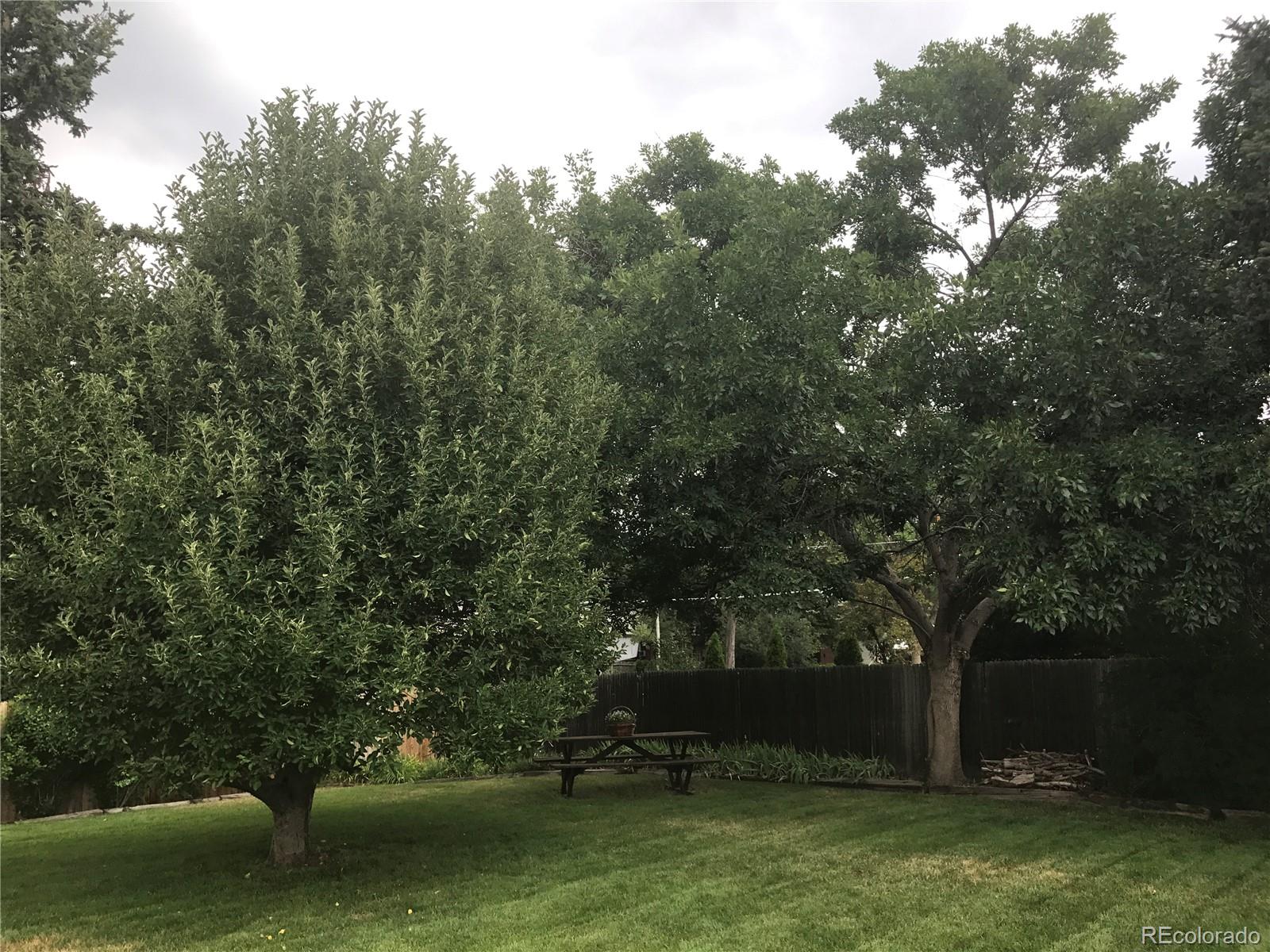 7539 Pierce Street Arvada CO 80003