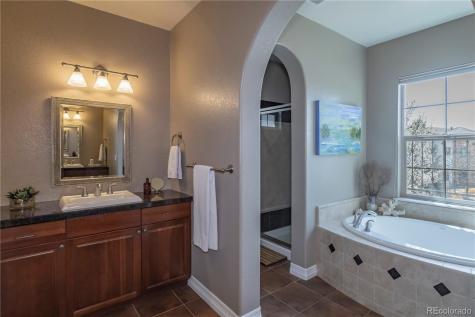 9691 Sunset Hill Place Lone Tree CO 80124