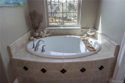 9691 Sunset Hill Place Lone Tree CO 80124