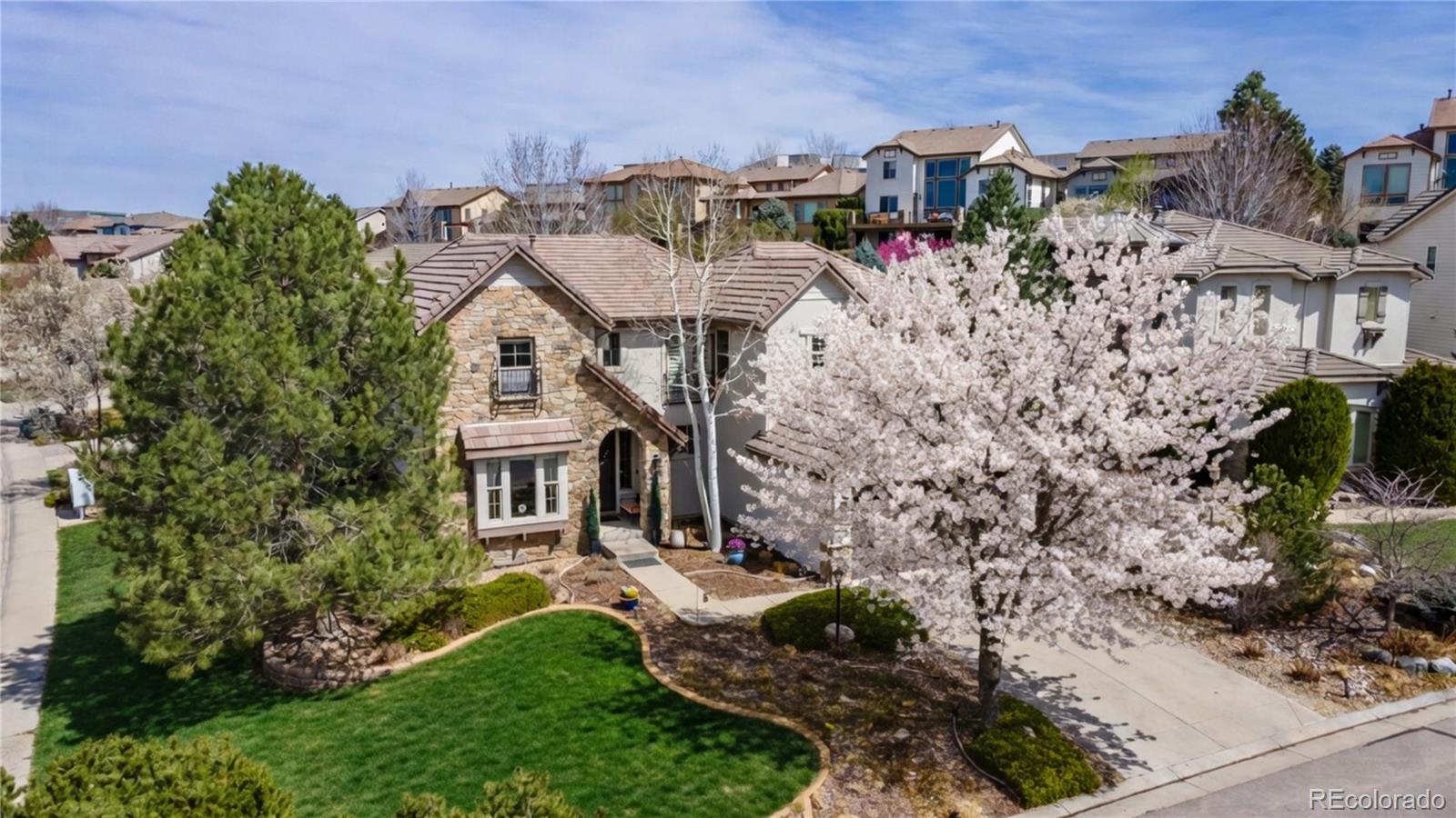 9691 Sunset Hill Place Lone Tree CO 80124