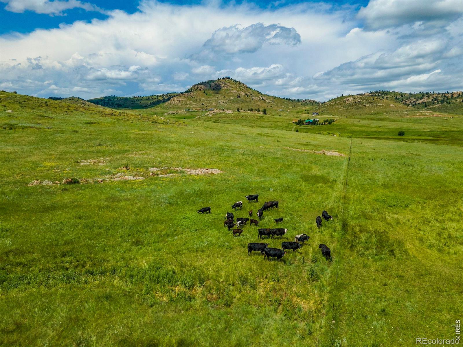 11881 W County Road 74e Livermore CO 80536