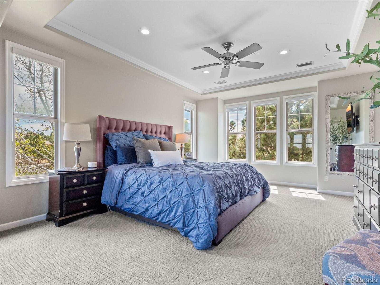 6281 Oxford Peak Place Castle Rock CO 80108