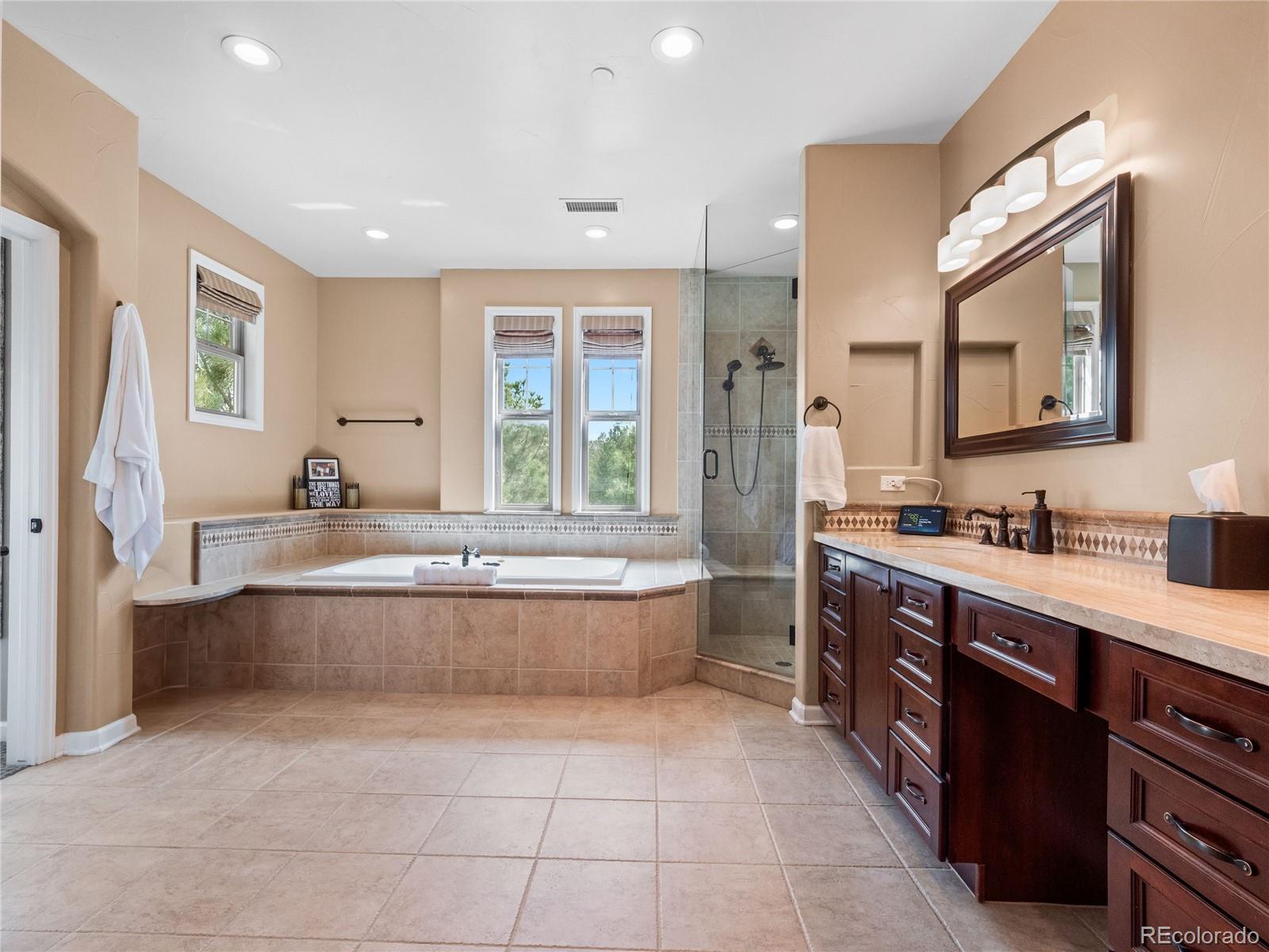 6281 Oxford Peak Place Castle Rock CO 80108