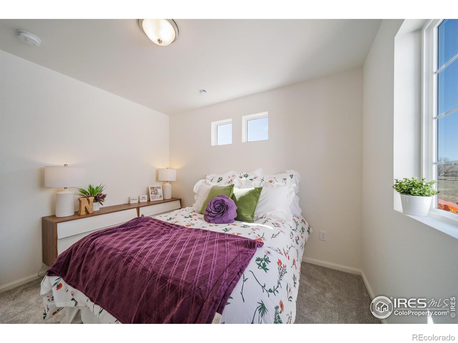3433 Barkwood Drive Johnstown CO 80534