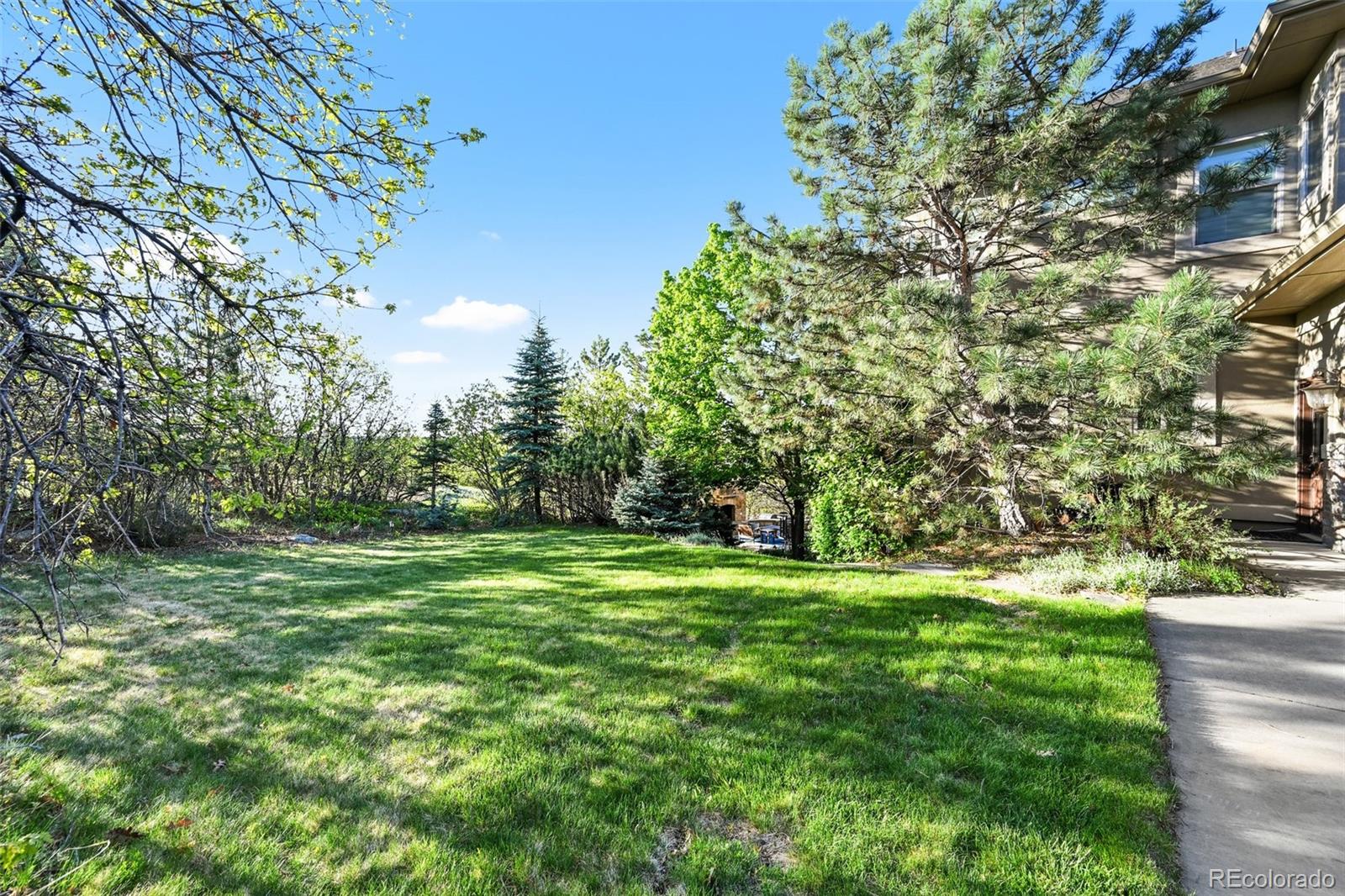 1159 Buffalo Ridge Road Castle Pines CO 80108