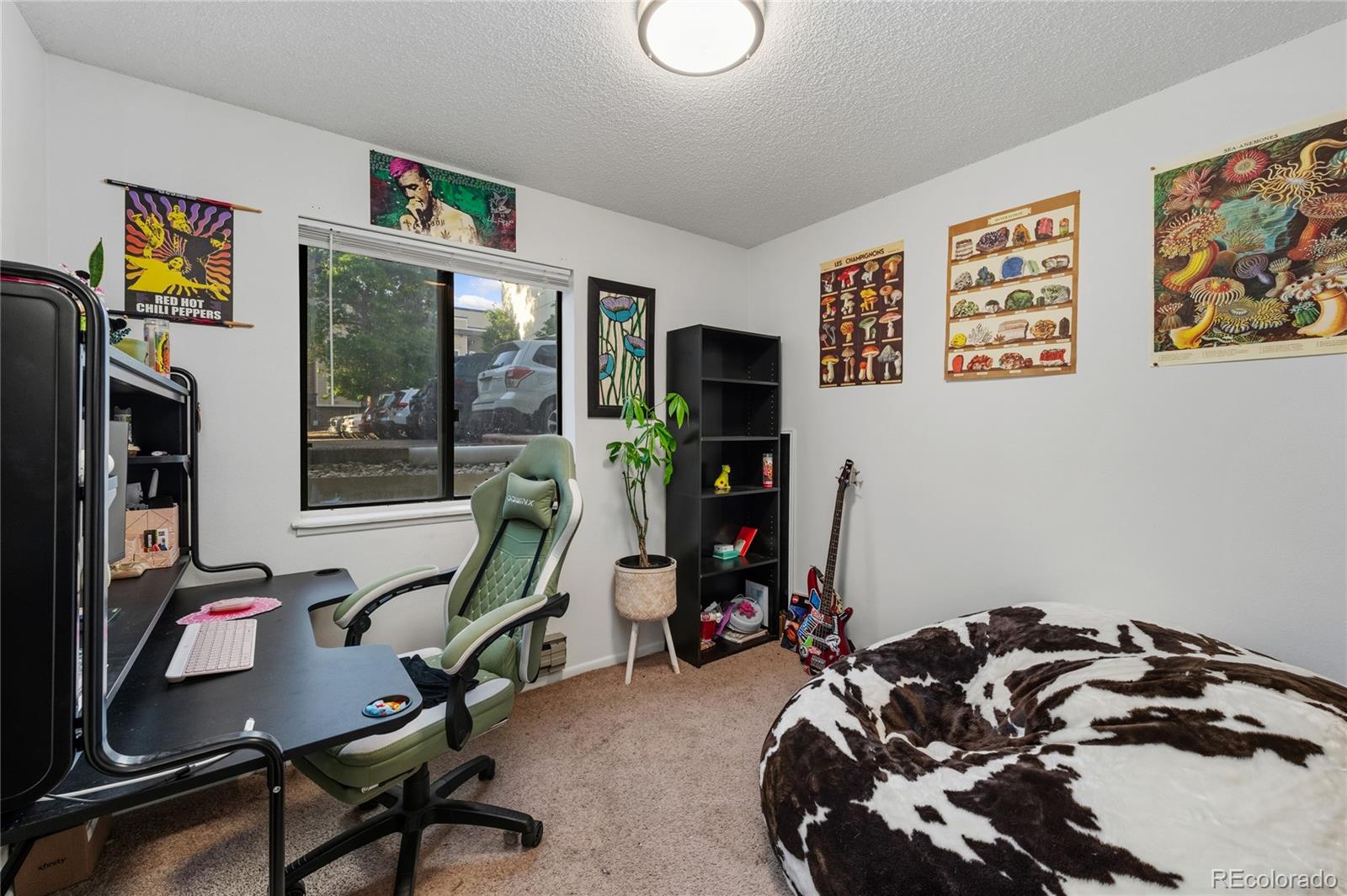 1209 W Plum Street Fort Collins CO 80521