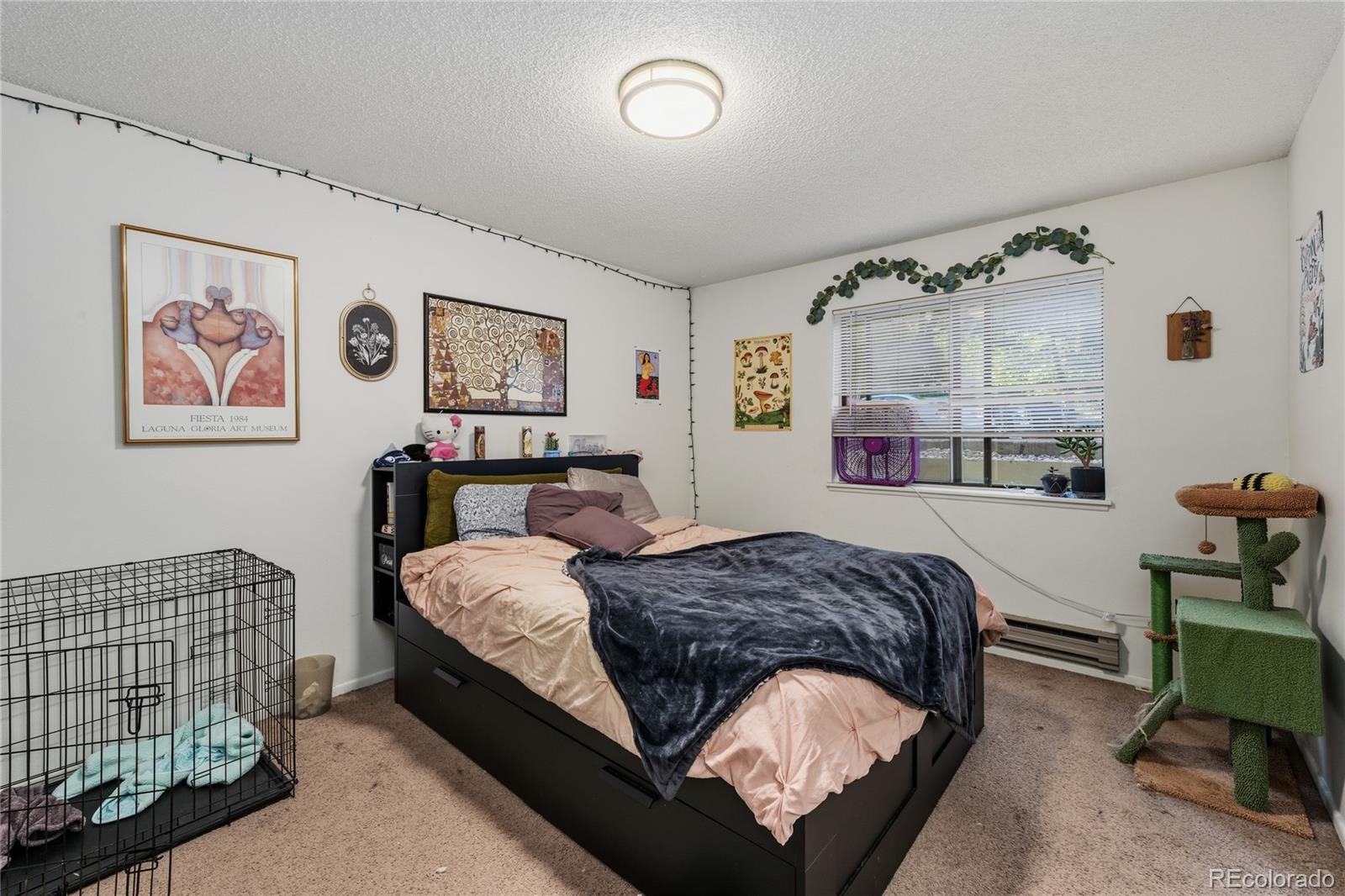 1209 W Plum Street Fort Collins CO 80521