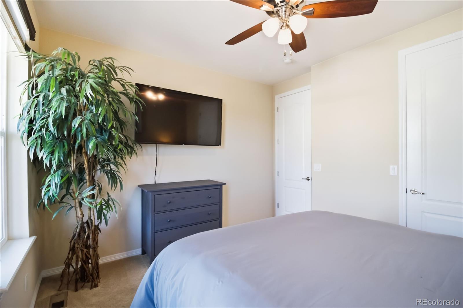 898 Eveningsong Drive Castle Rock CO 80104