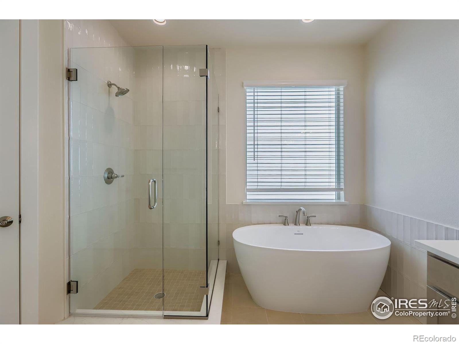 1829 Flourish Drive Windsor CO 80550