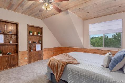 33299 County Road 371 Buena Vista CO 81211