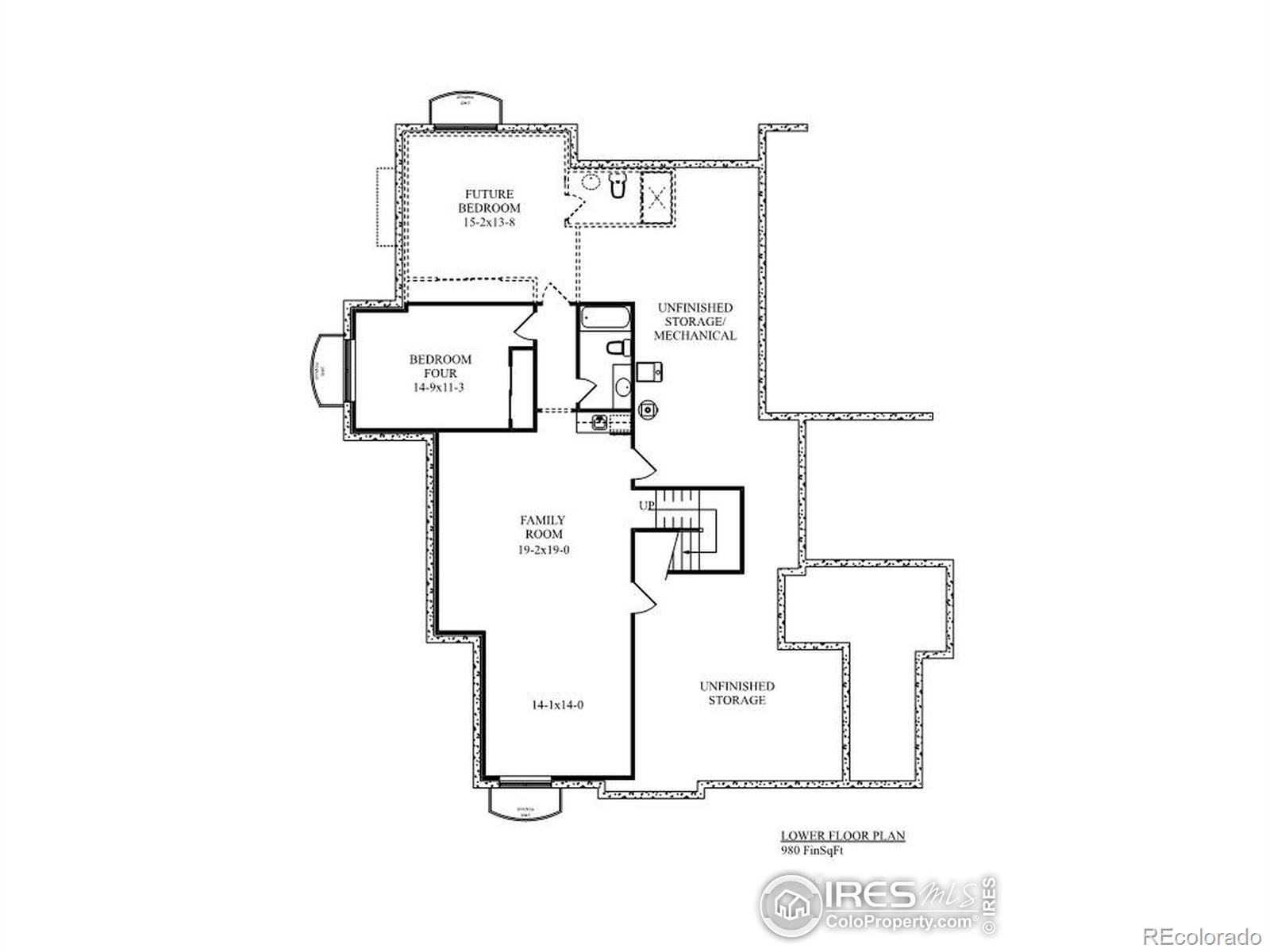 984 Hawkshead Street Timnath CO 80547