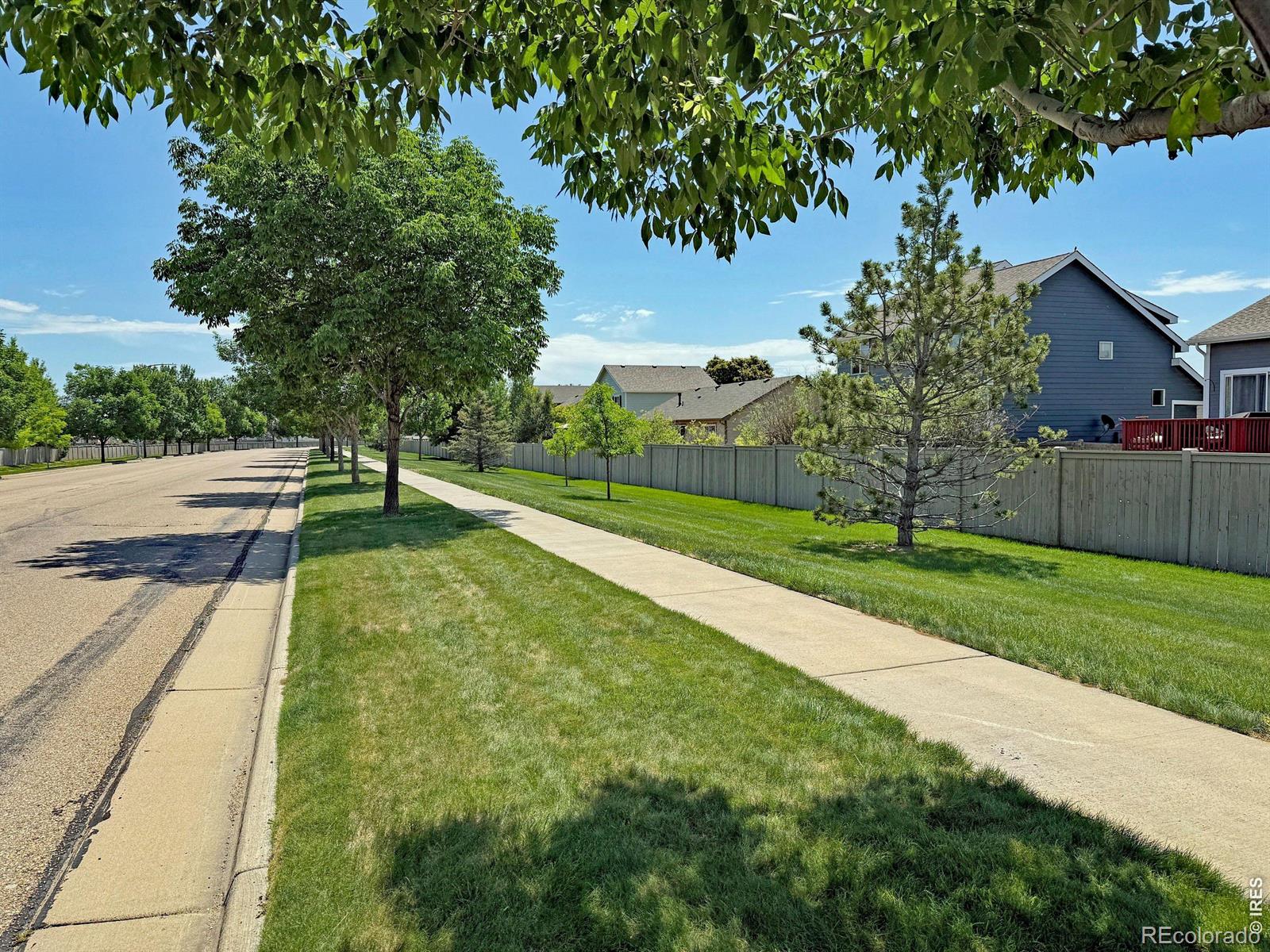 3268 White Buffalo Drive Wellington CO 80549