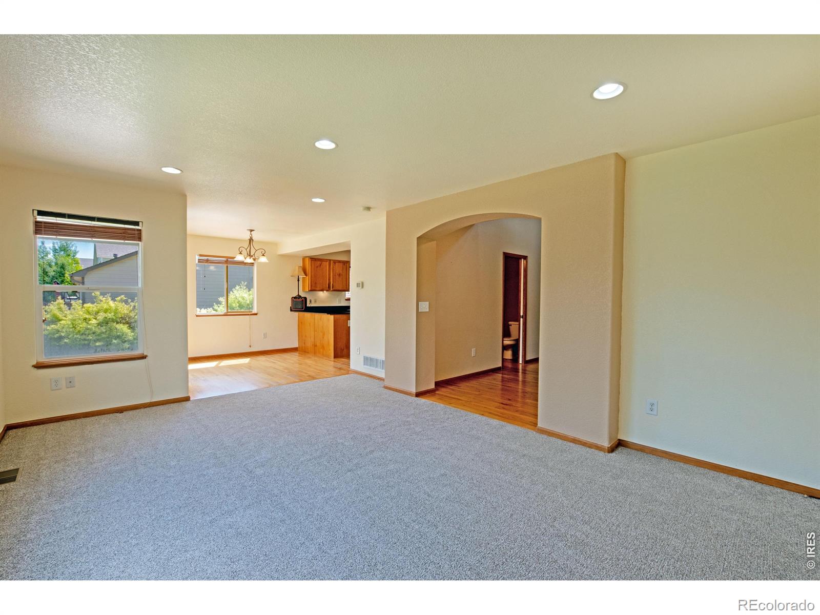 3268 White Buffalo Drive Wellington CO 80549